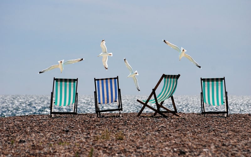 Seaside Serenity